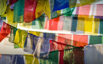 Variable Universal Life Insurance